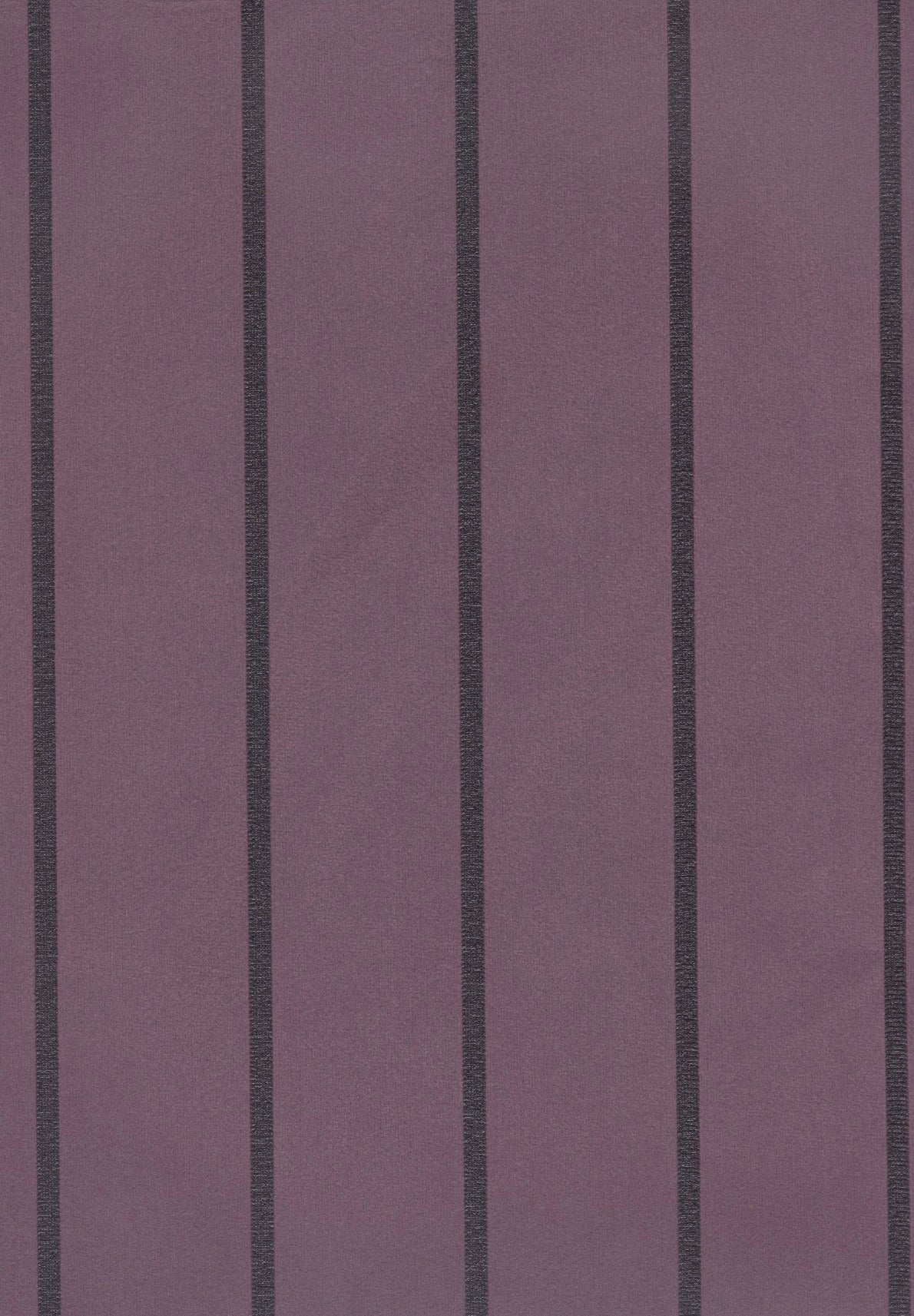 VISCONTI image 5
