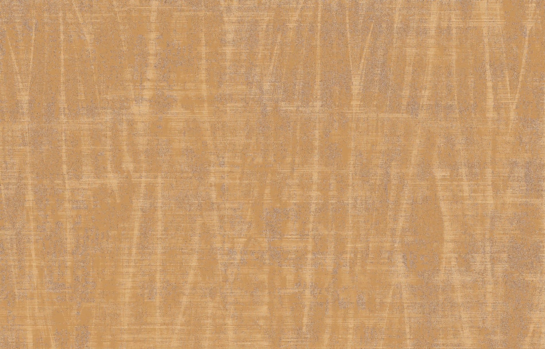 SPIGA image 2