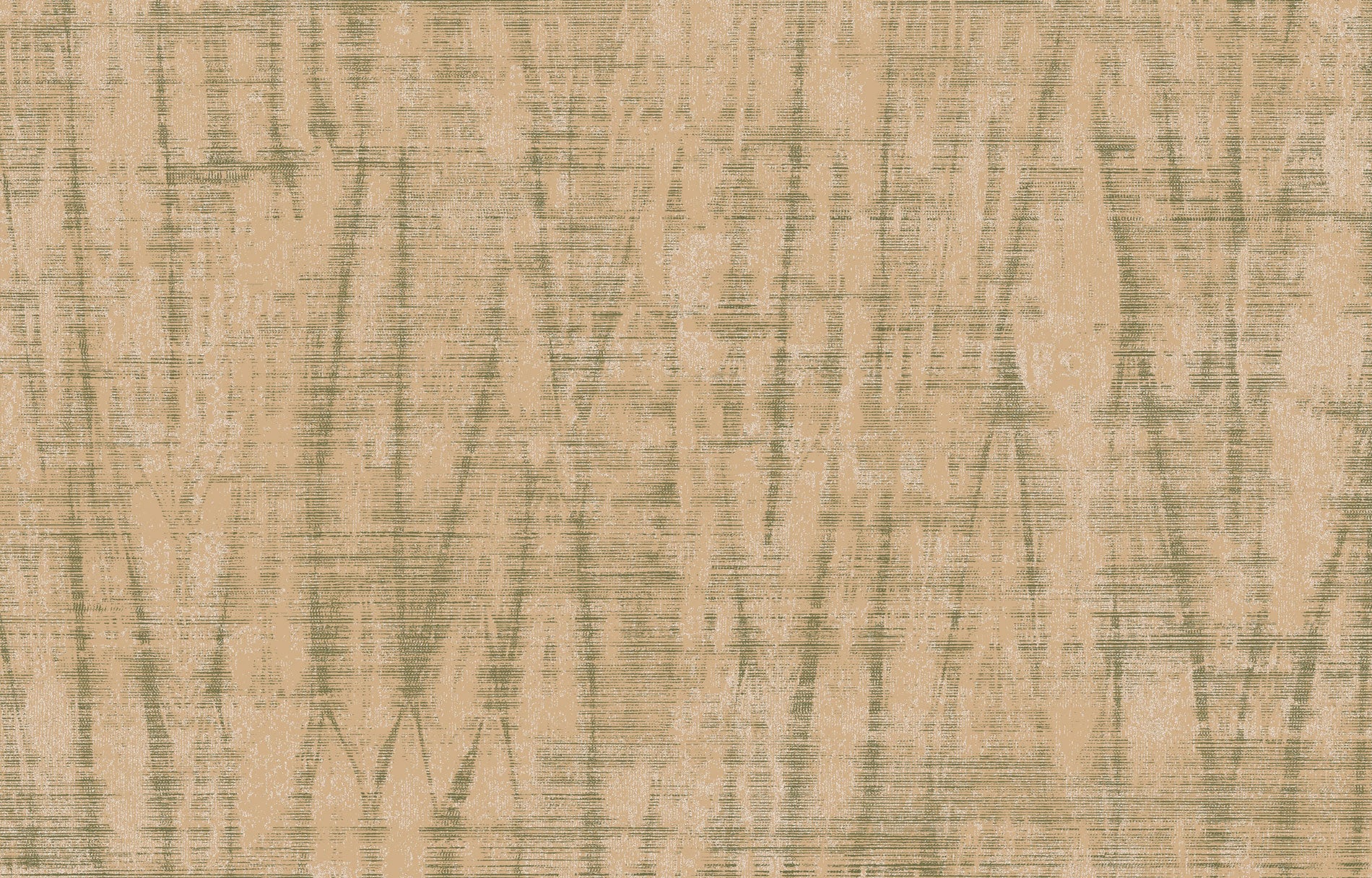 SPIGA image 10