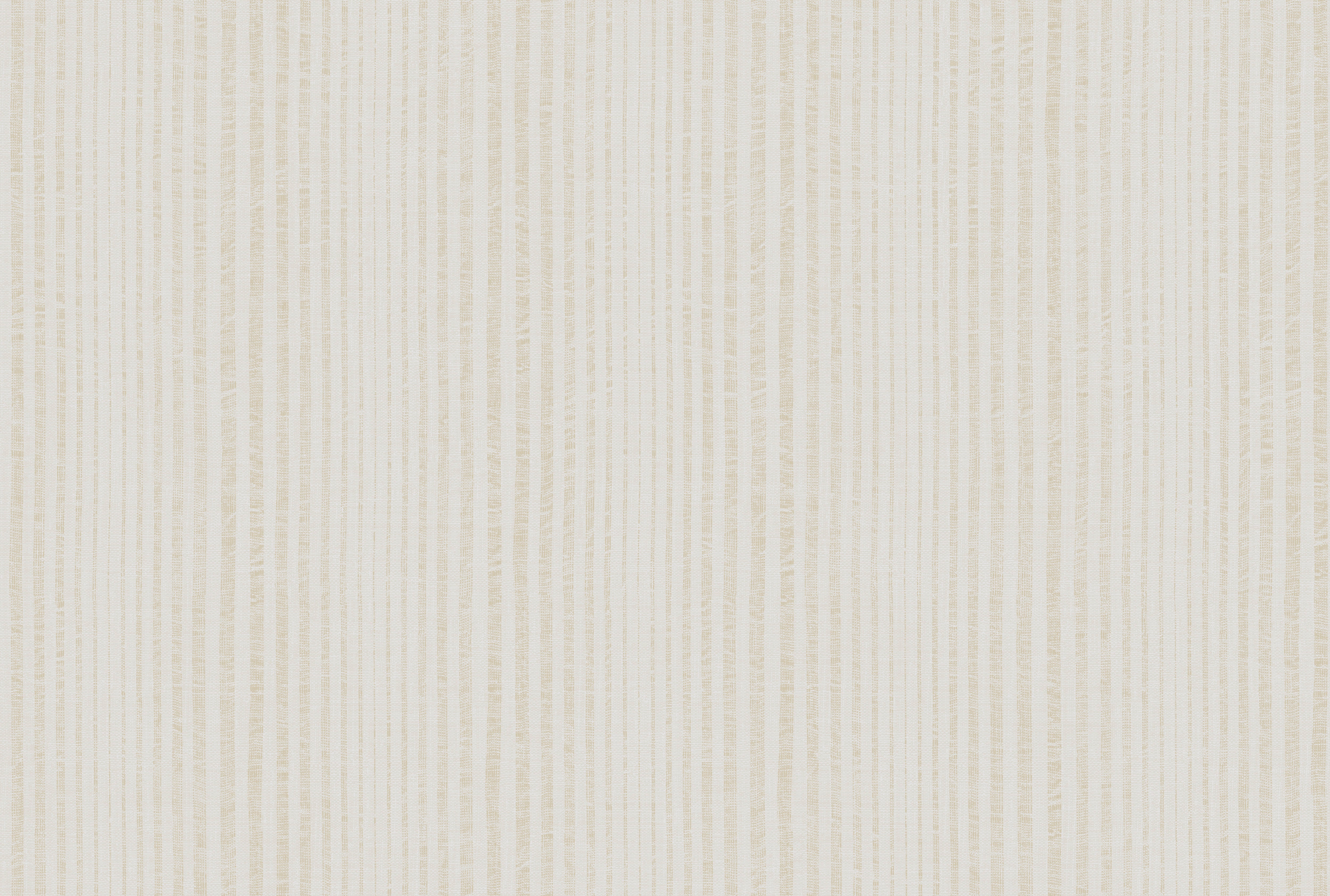 STRIPE image 2