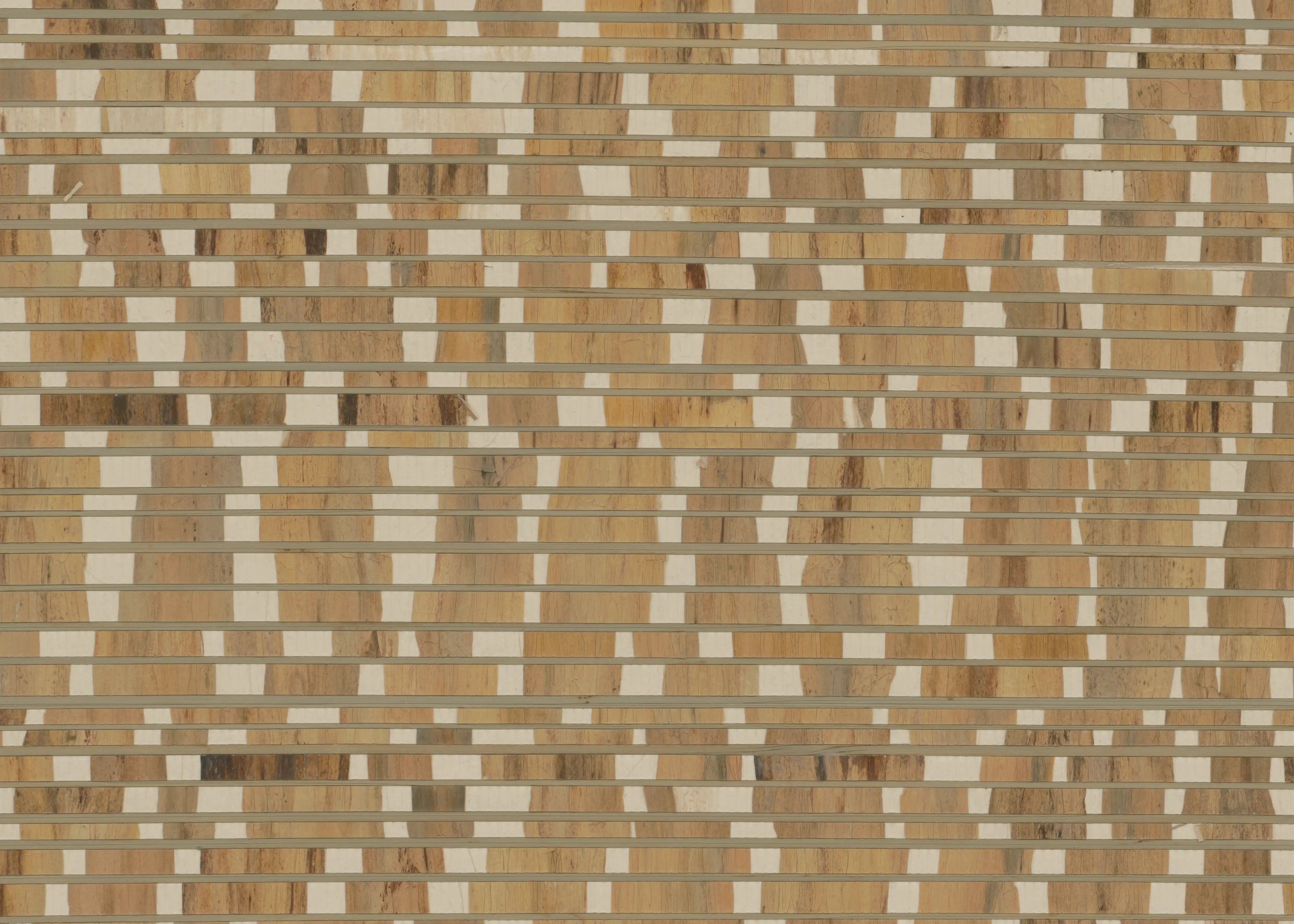 Stratum image 0