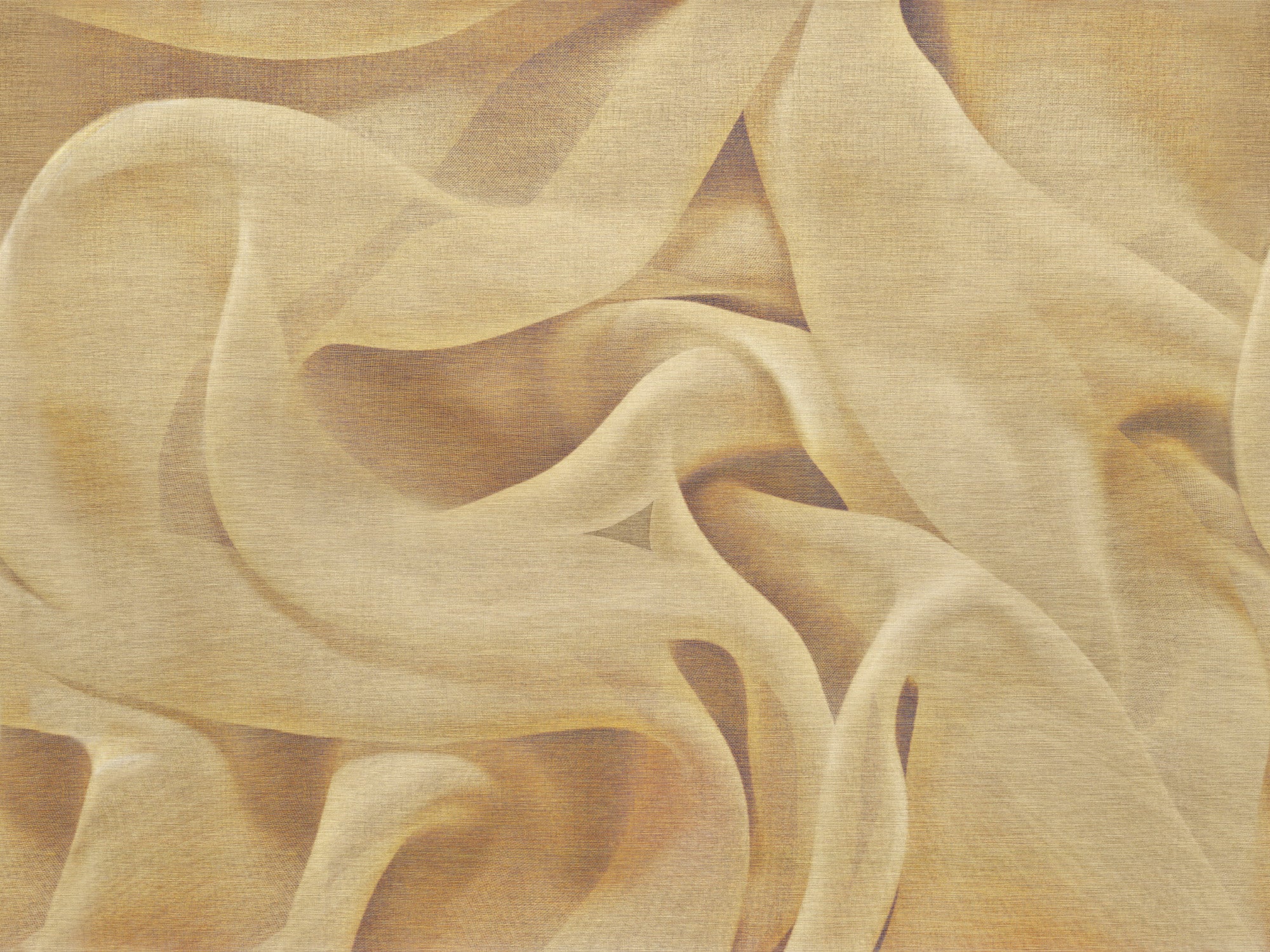 DRAPERY image 5