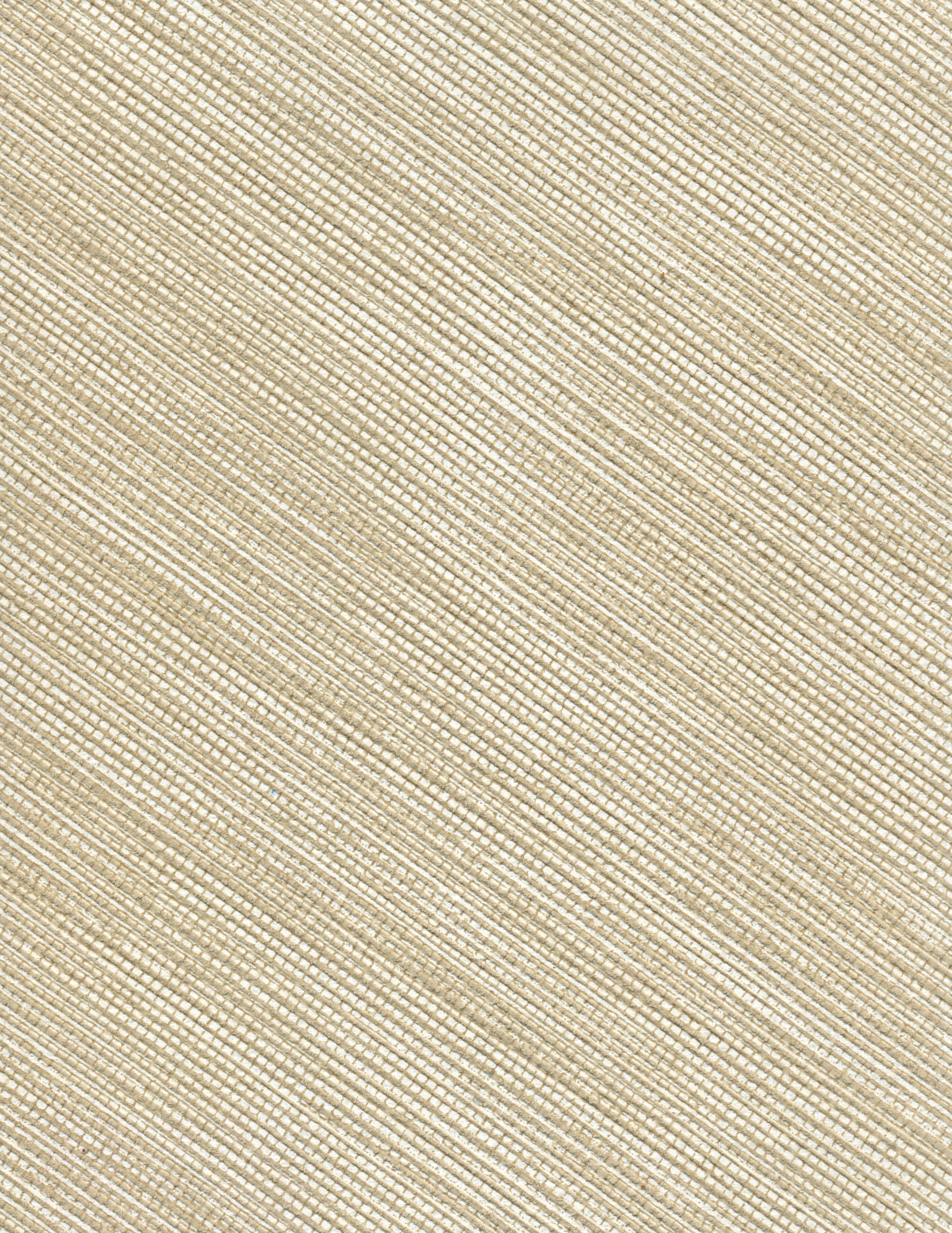 MUSA image 2