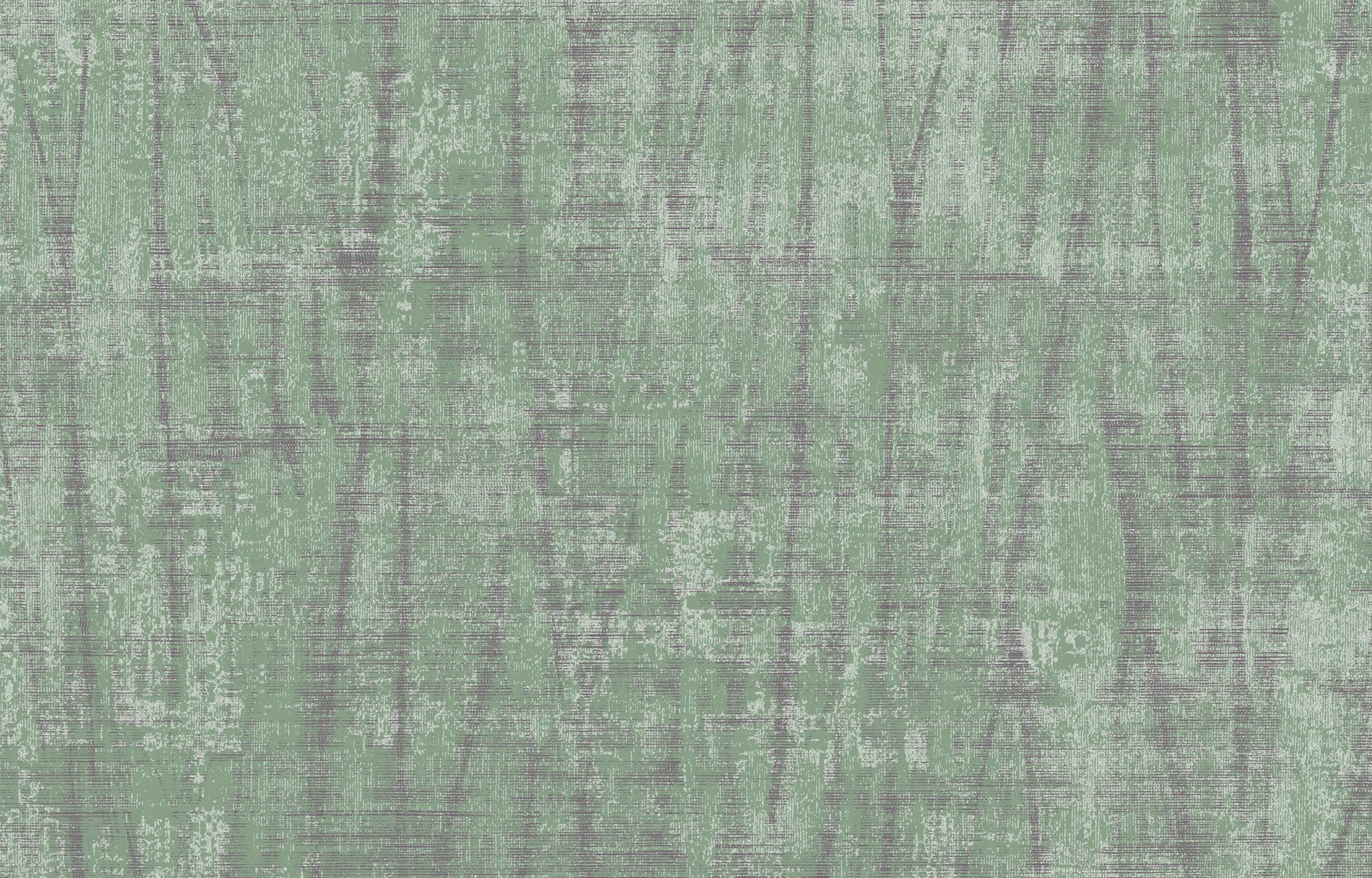 SPIGA image 9