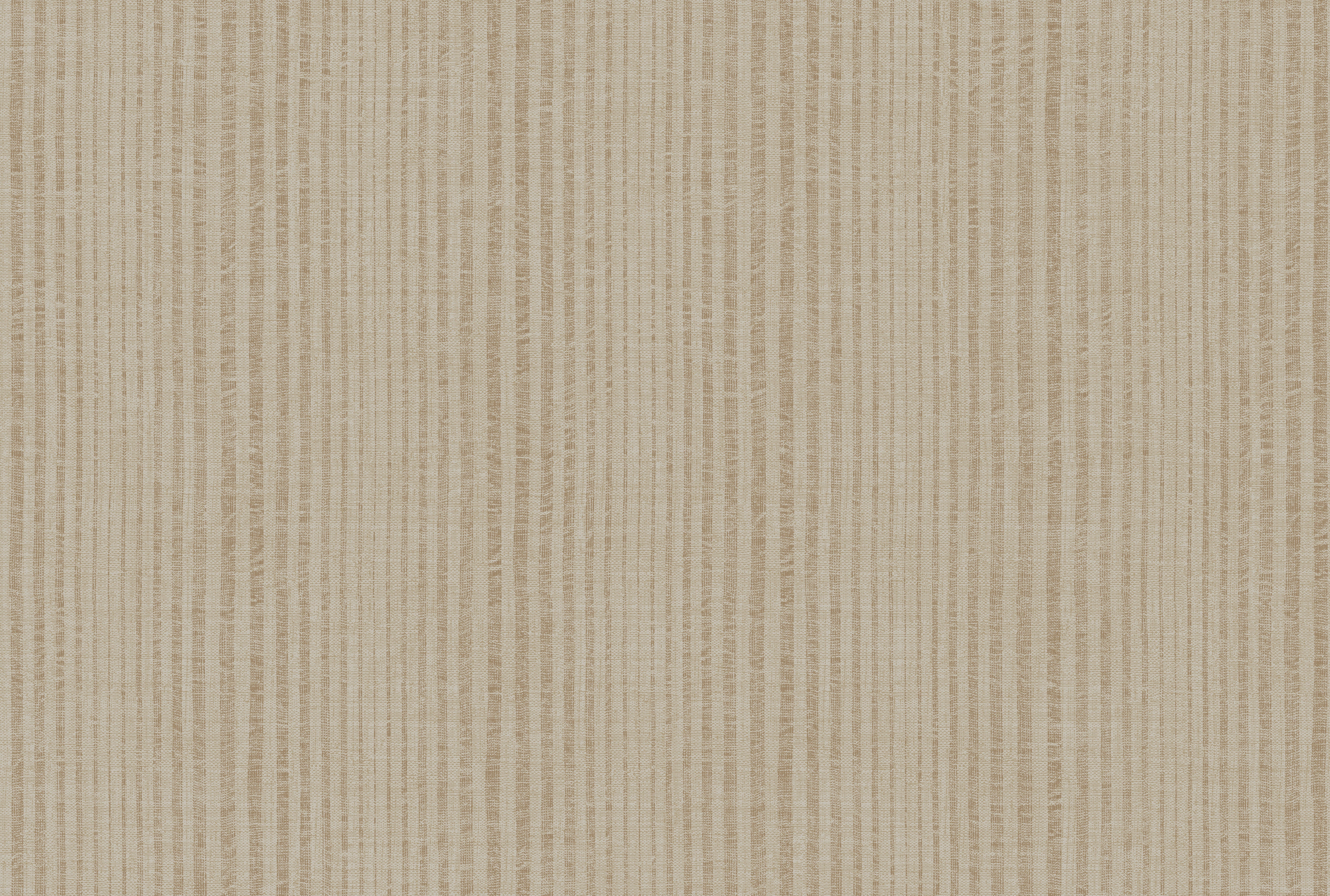 STRIPE image 3