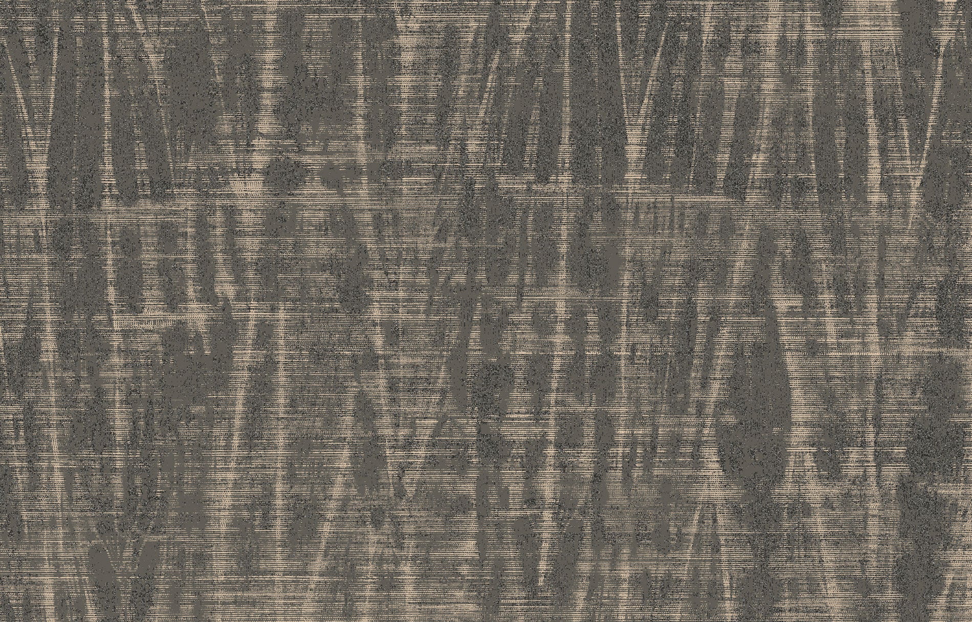 SPIGA image 6