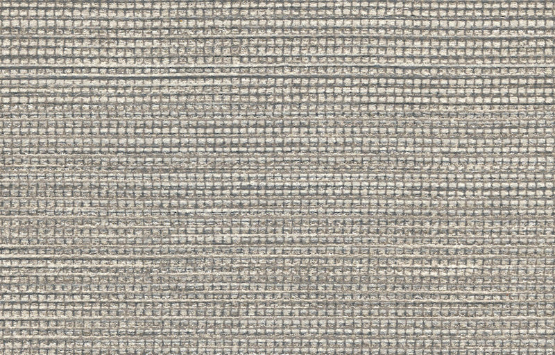 AGAVE image 5