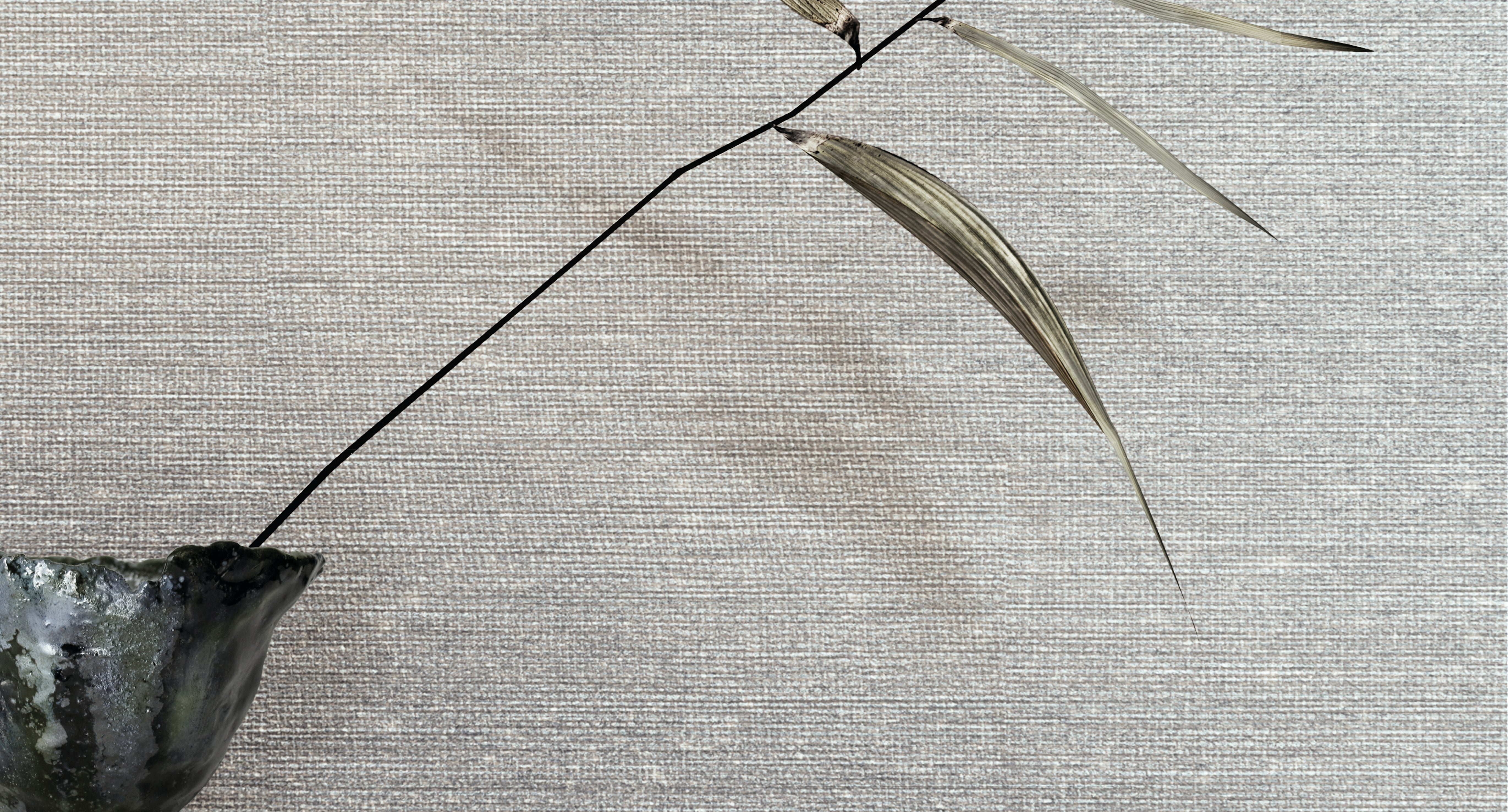 SISAL image 0