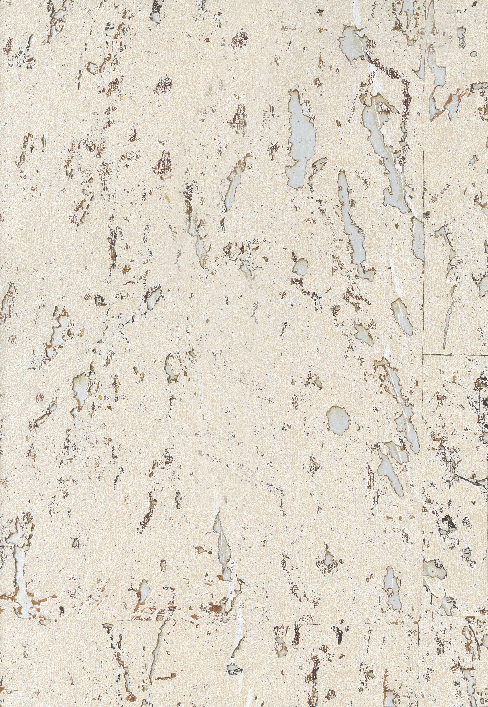 Silver Gray image 0