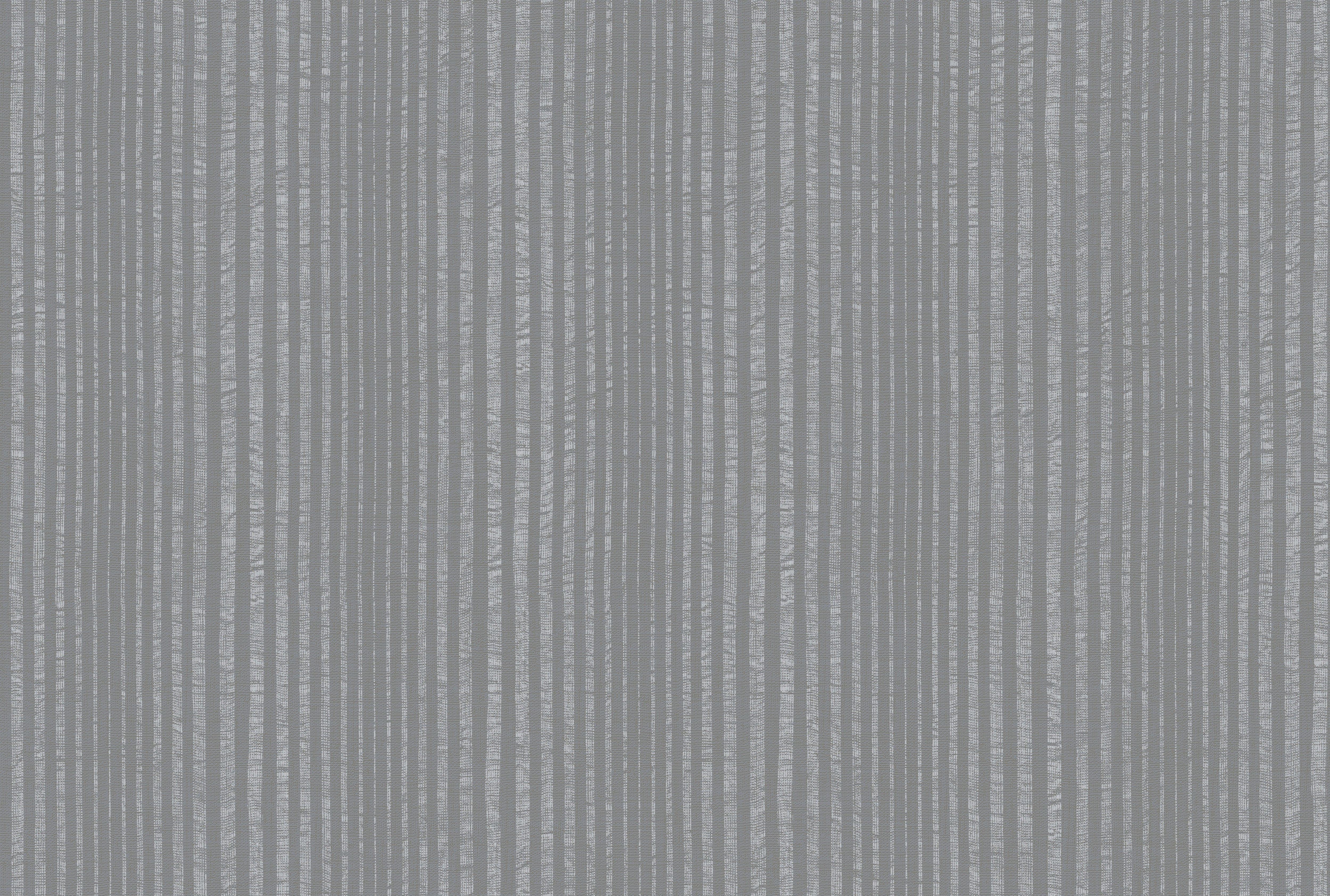 STRIPE image 4