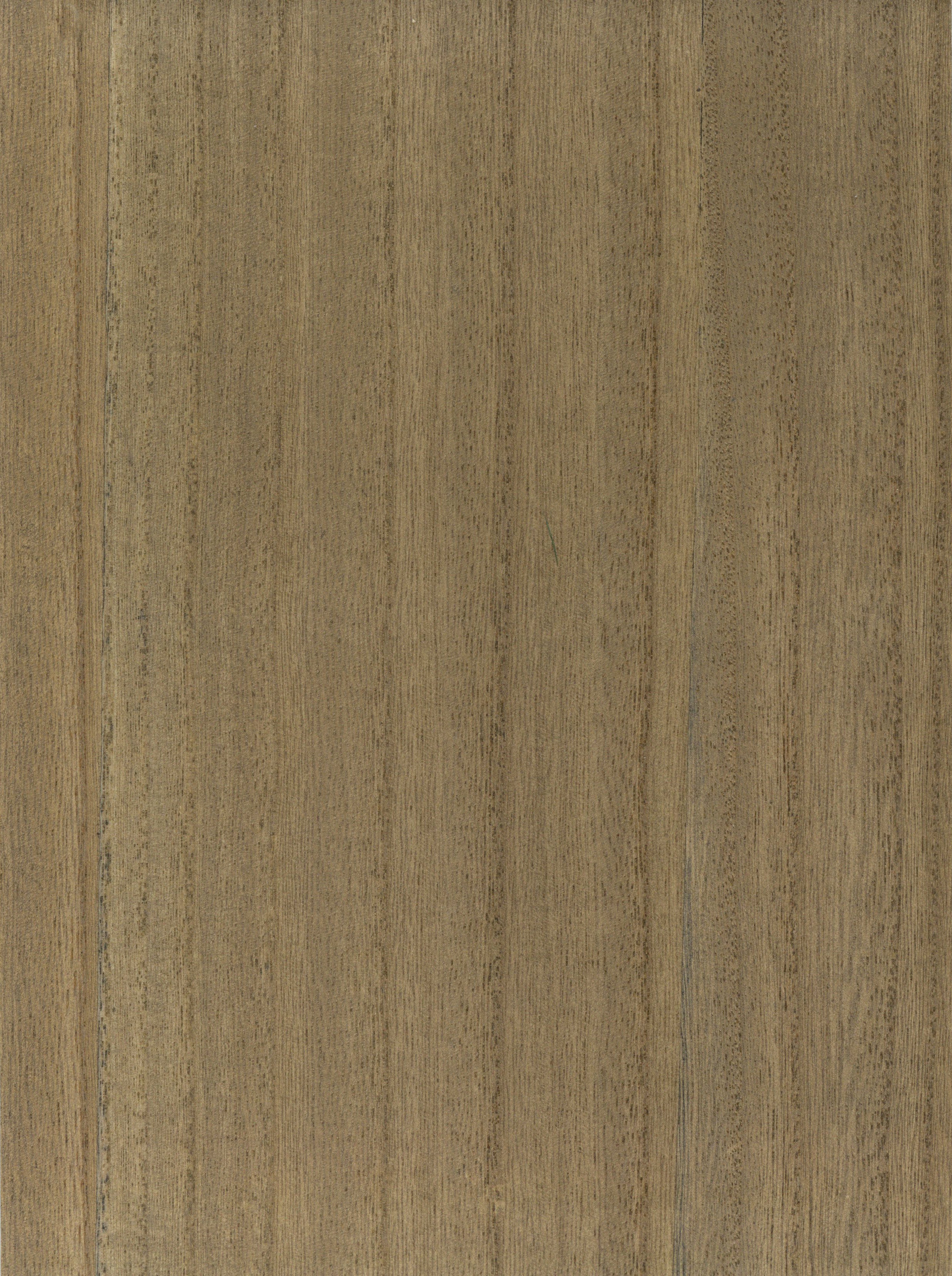 Walnut image 0