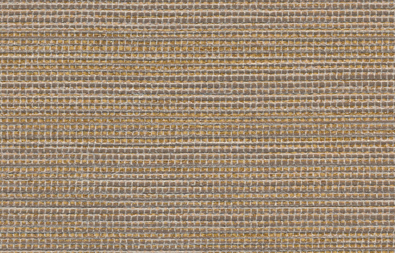 AGAVE image 4