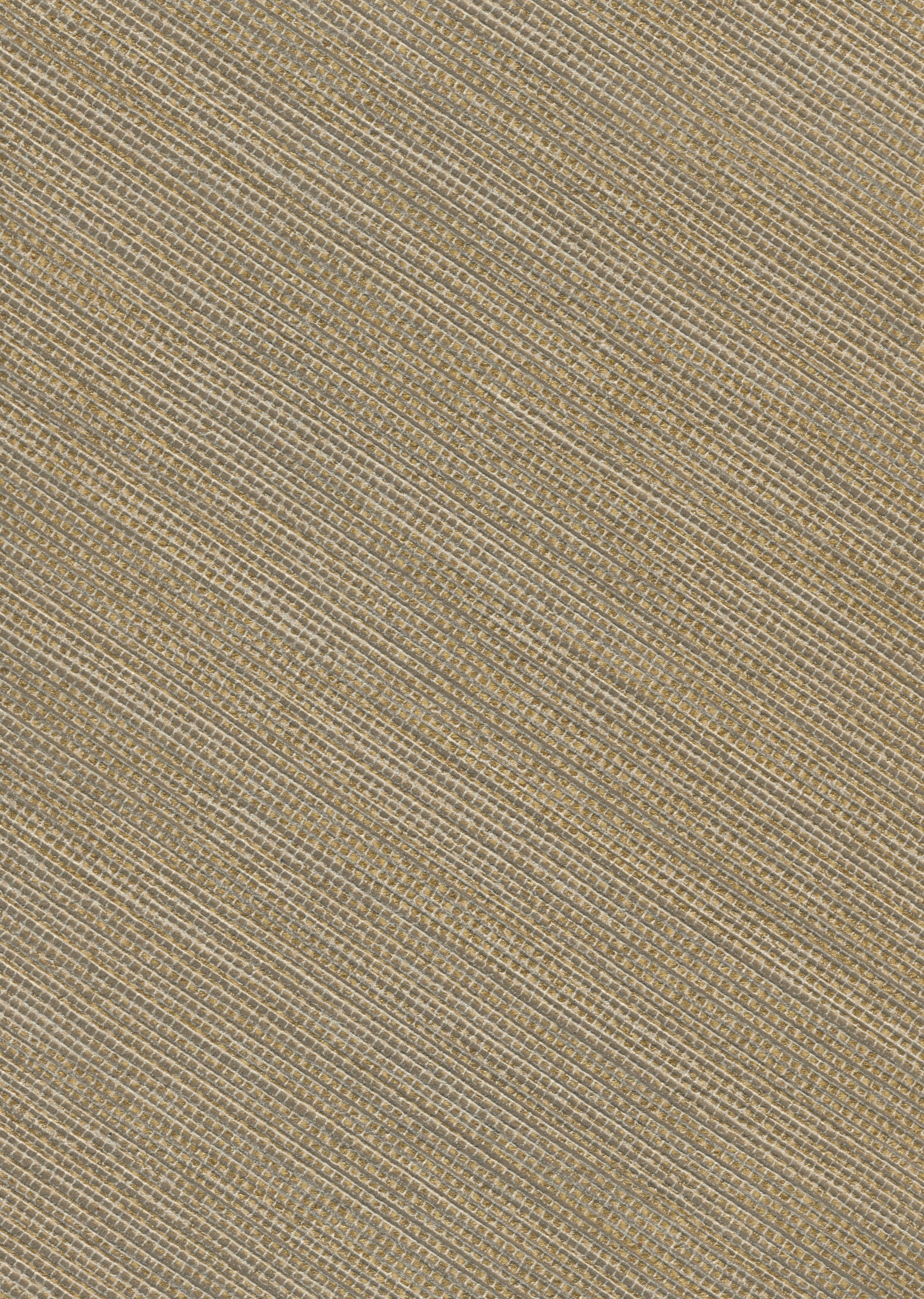 MUSA image 6