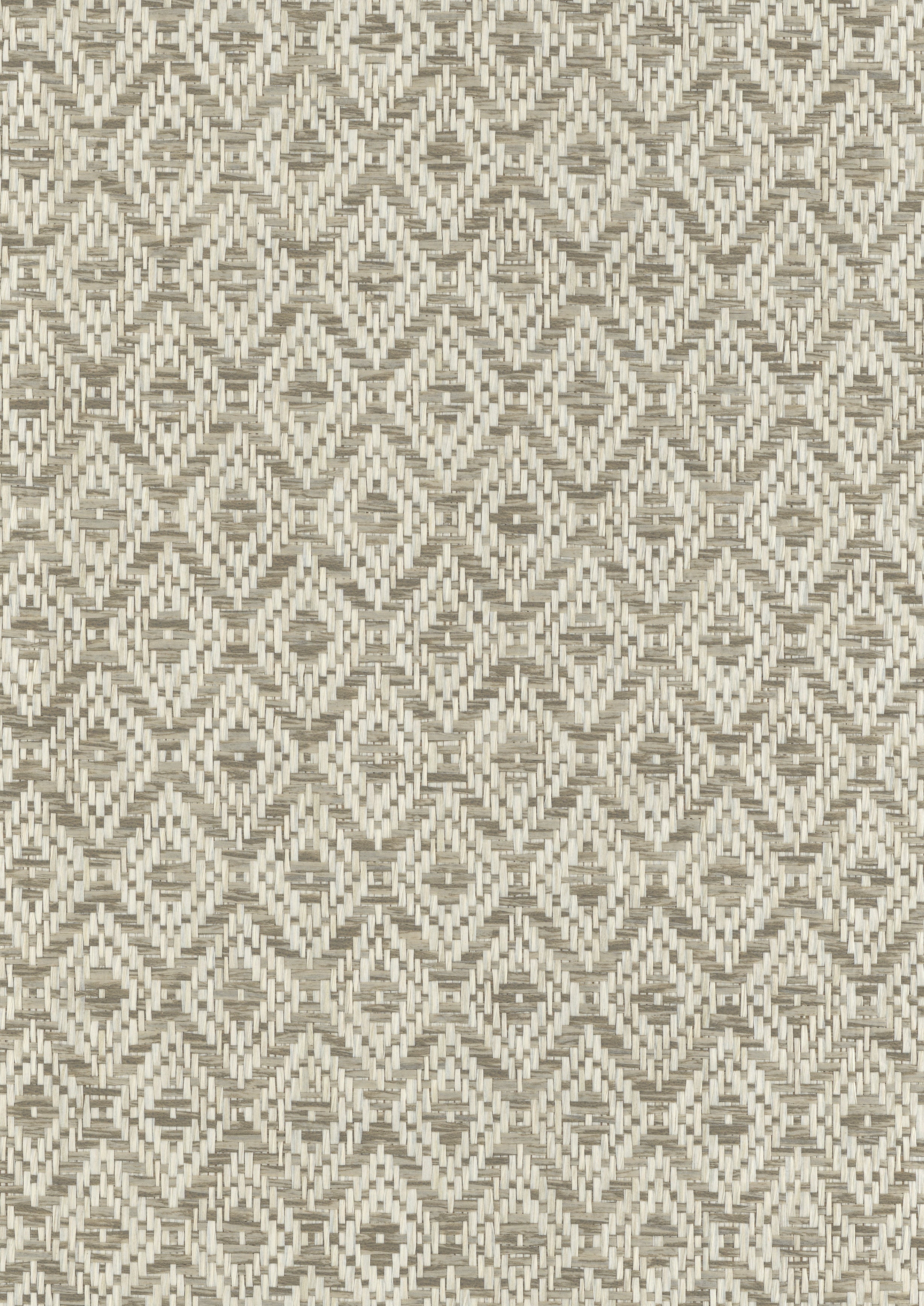 Pale Khaki image 0