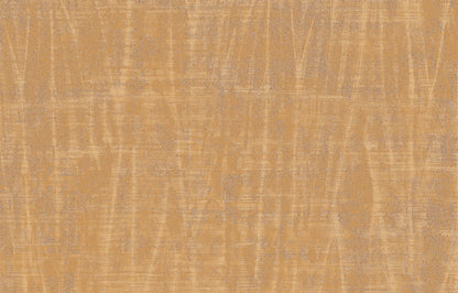 SPIGA image 2