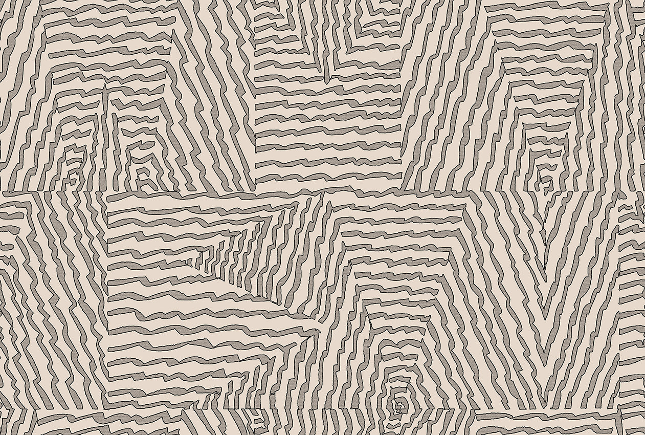 Escher image 2