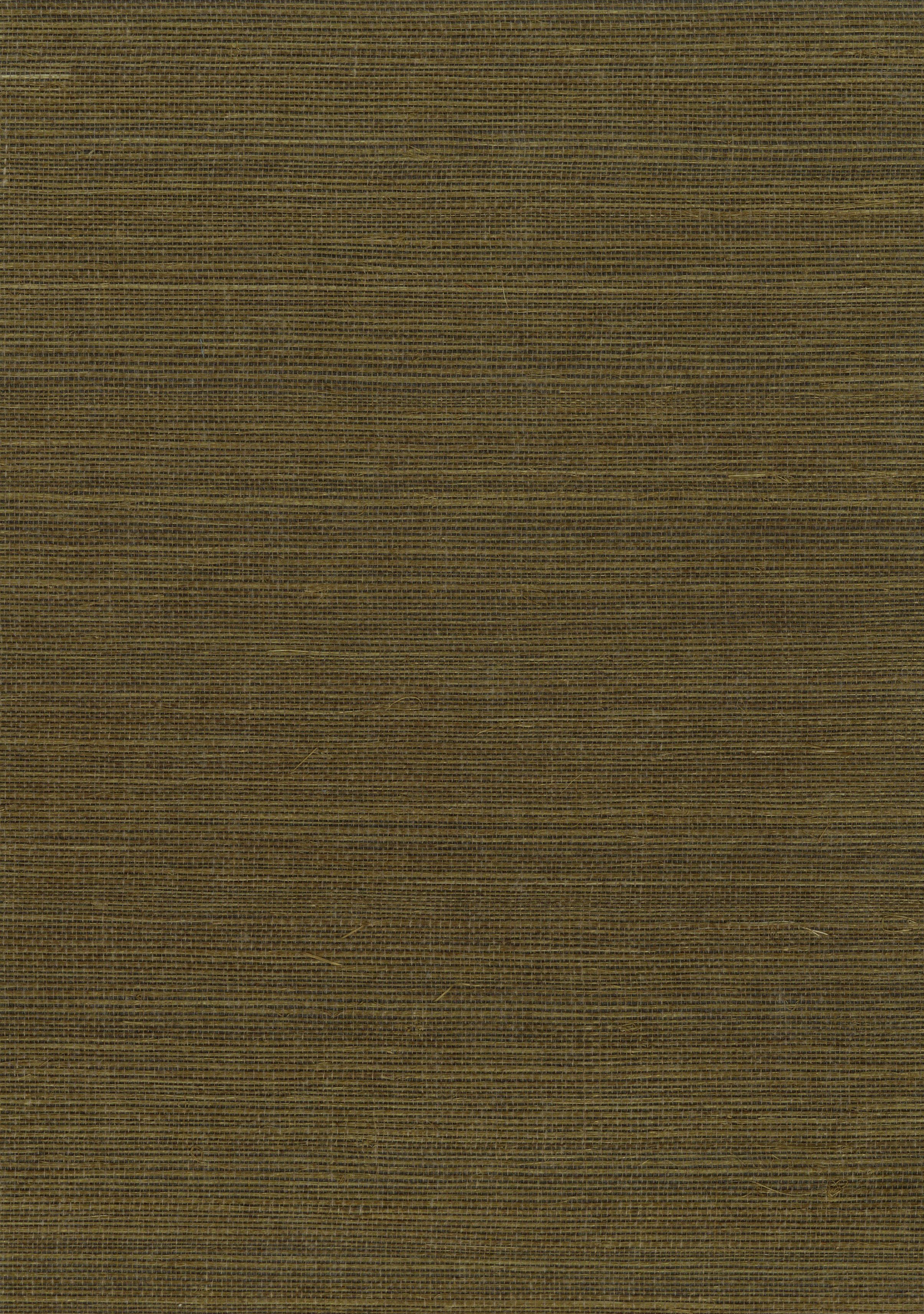 Algal Green image 0