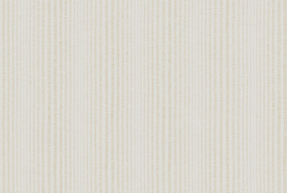 STRIPE image 2