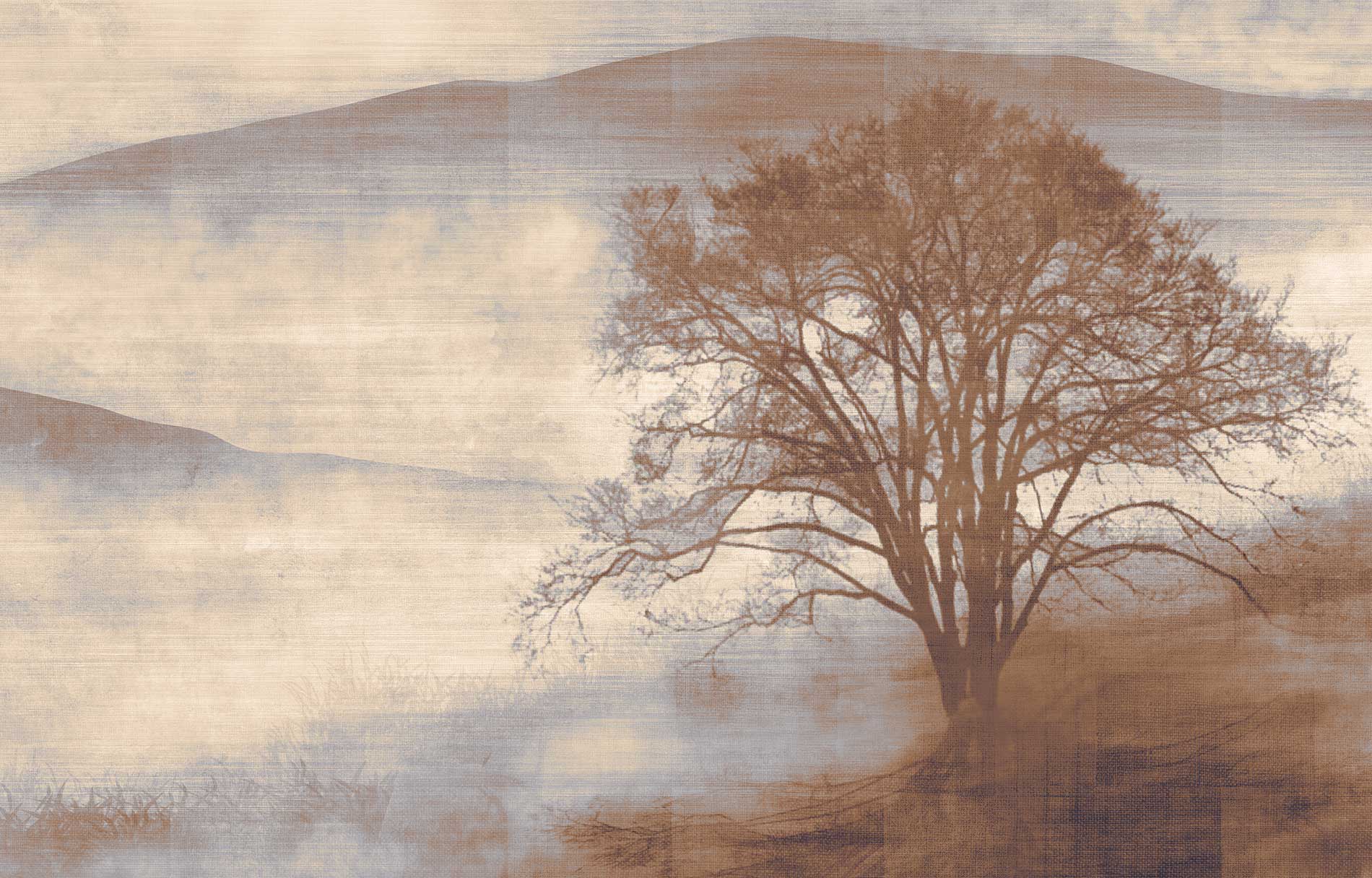 MIST image 3