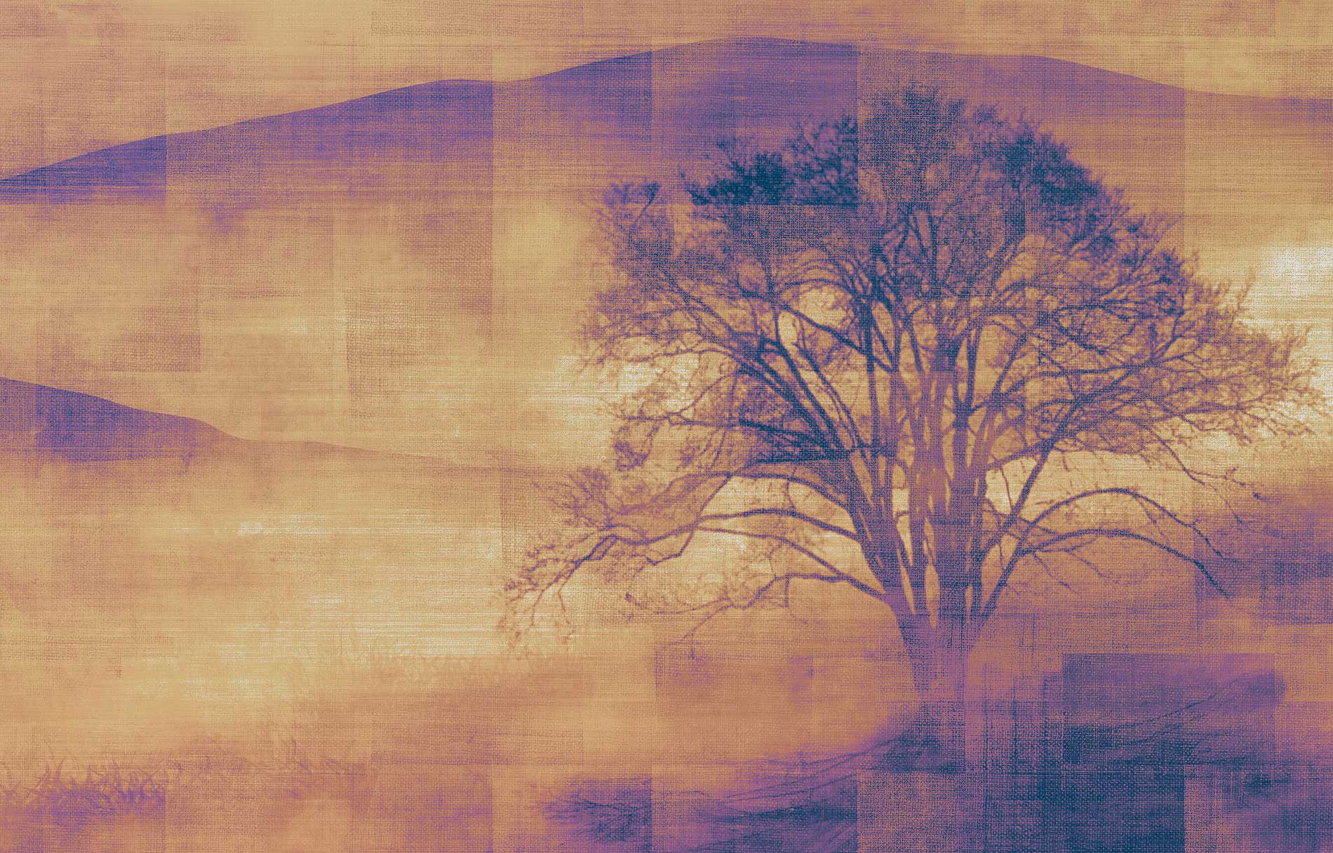 MIST image 5