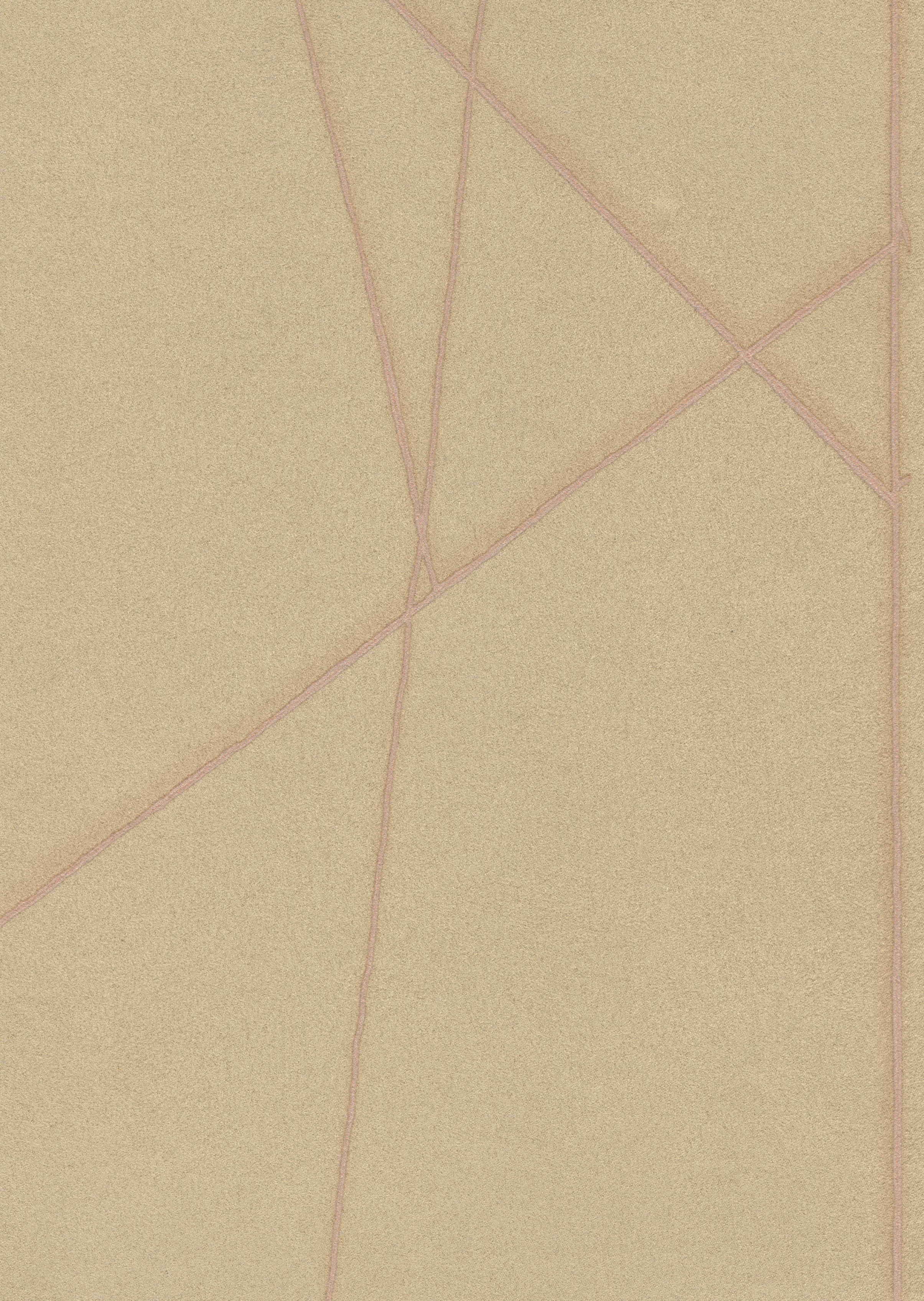 ENTANGLEMENT image 6