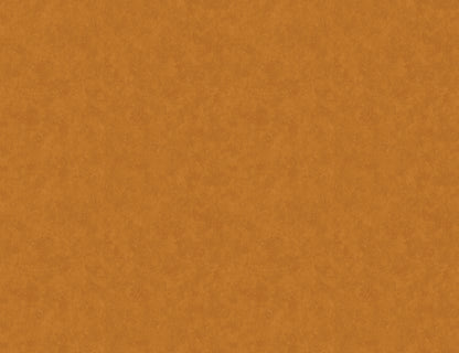 STARDUST image 5
