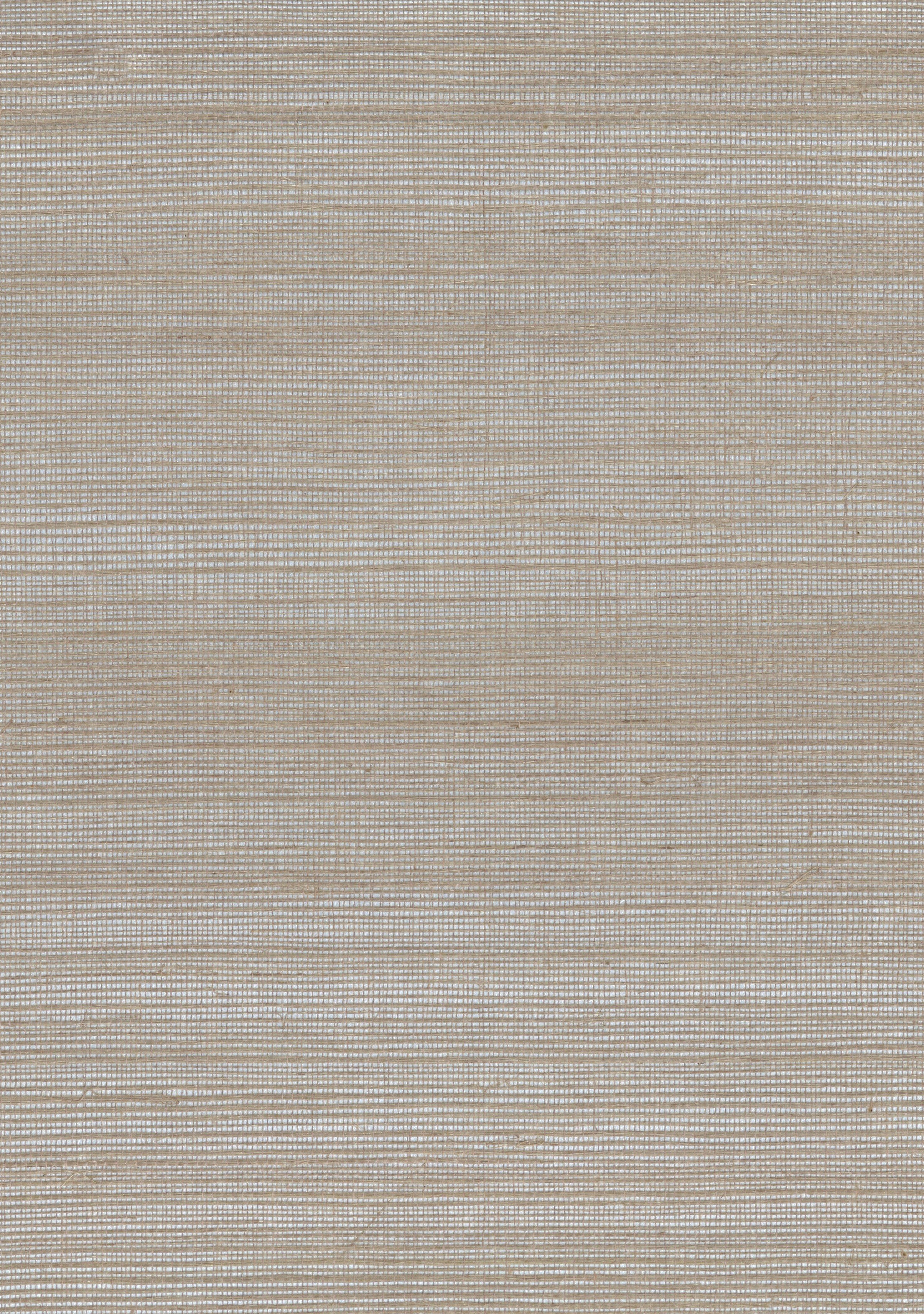 Birch image 0