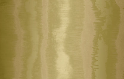 ELECTROMAGNETIC image 4