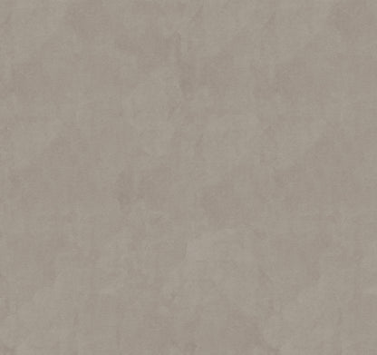 SOLID image 4