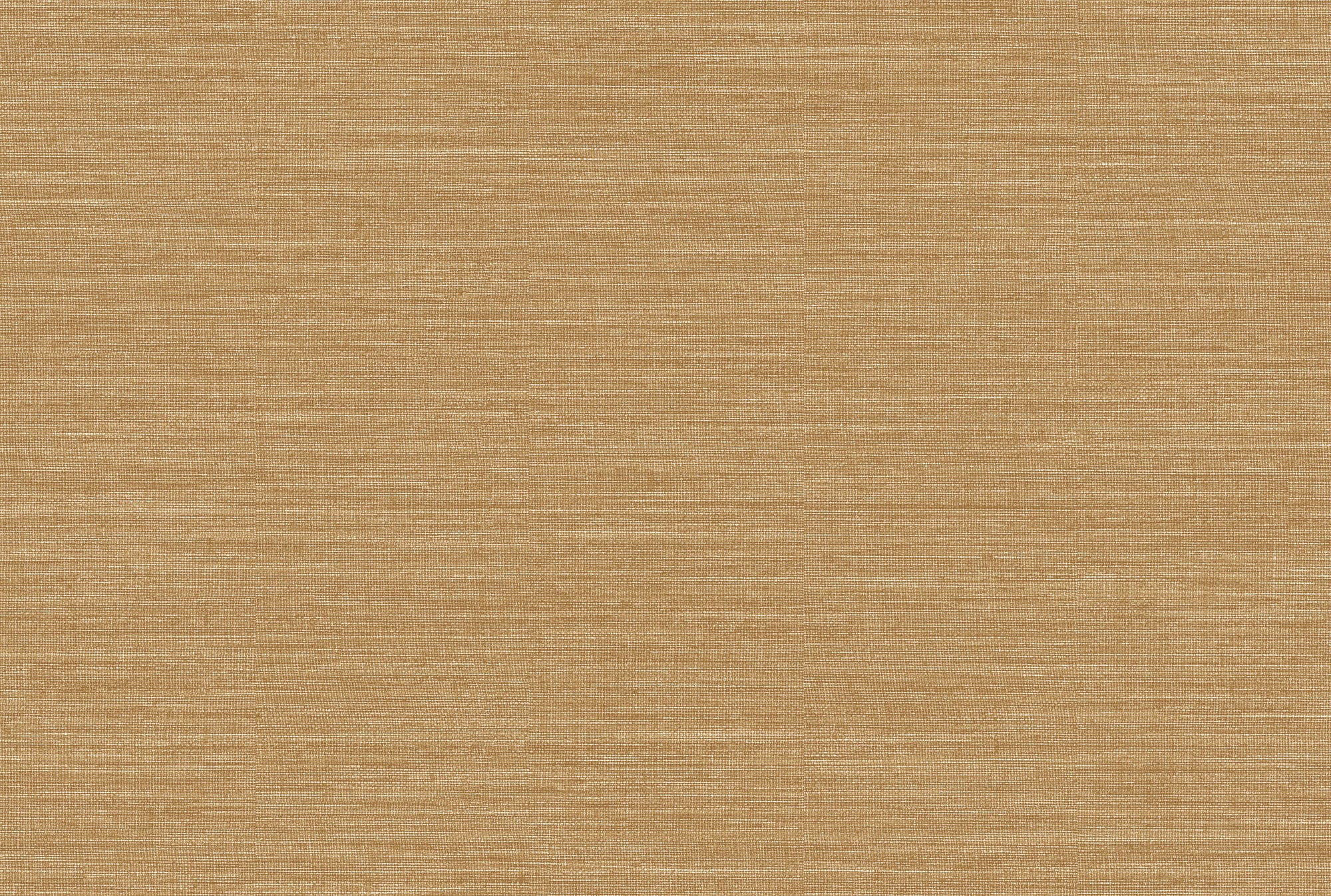 SISAL image 4