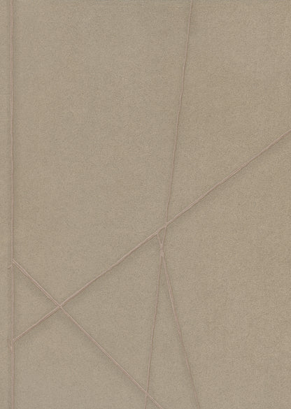 ENTANGLEMENT image 7
