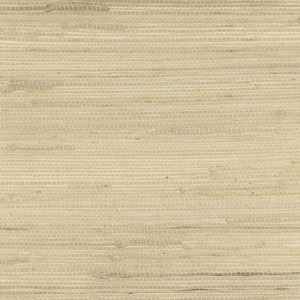 Hemp - Natural Palette image 0