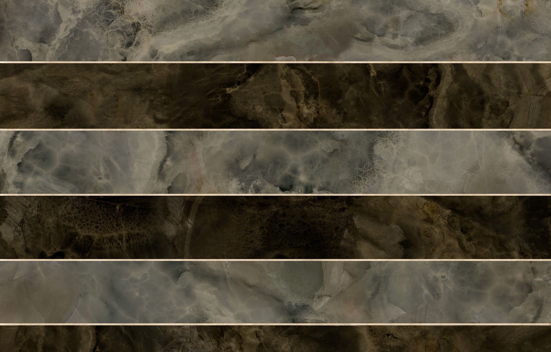 ONIX image 1
