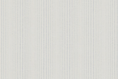 STRIPE image 1