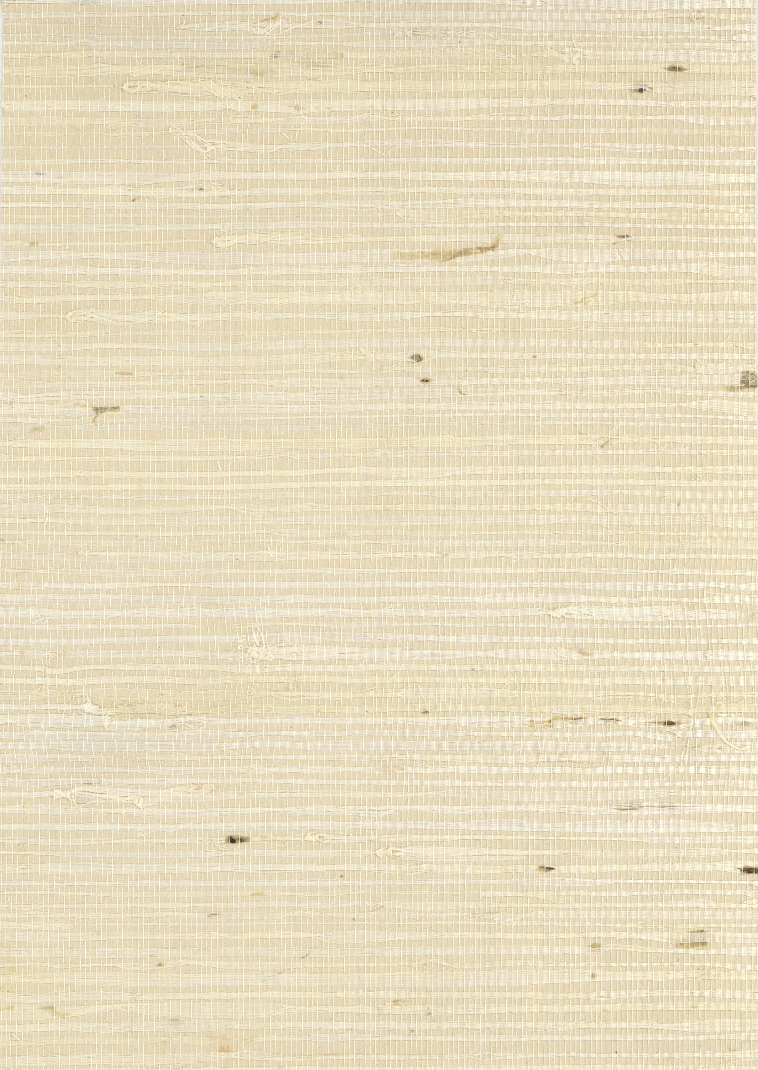 Latte image 0