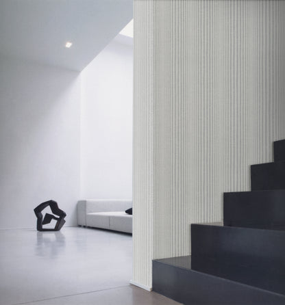 STRIPE image 0
