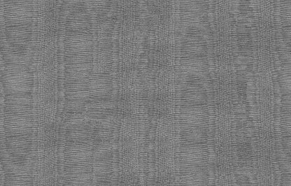 MOIRÉ image 3