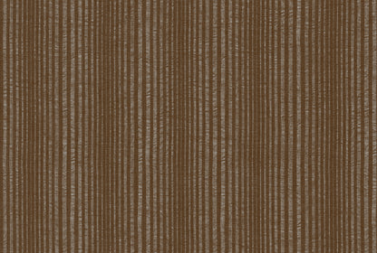 STRIPE image 5
