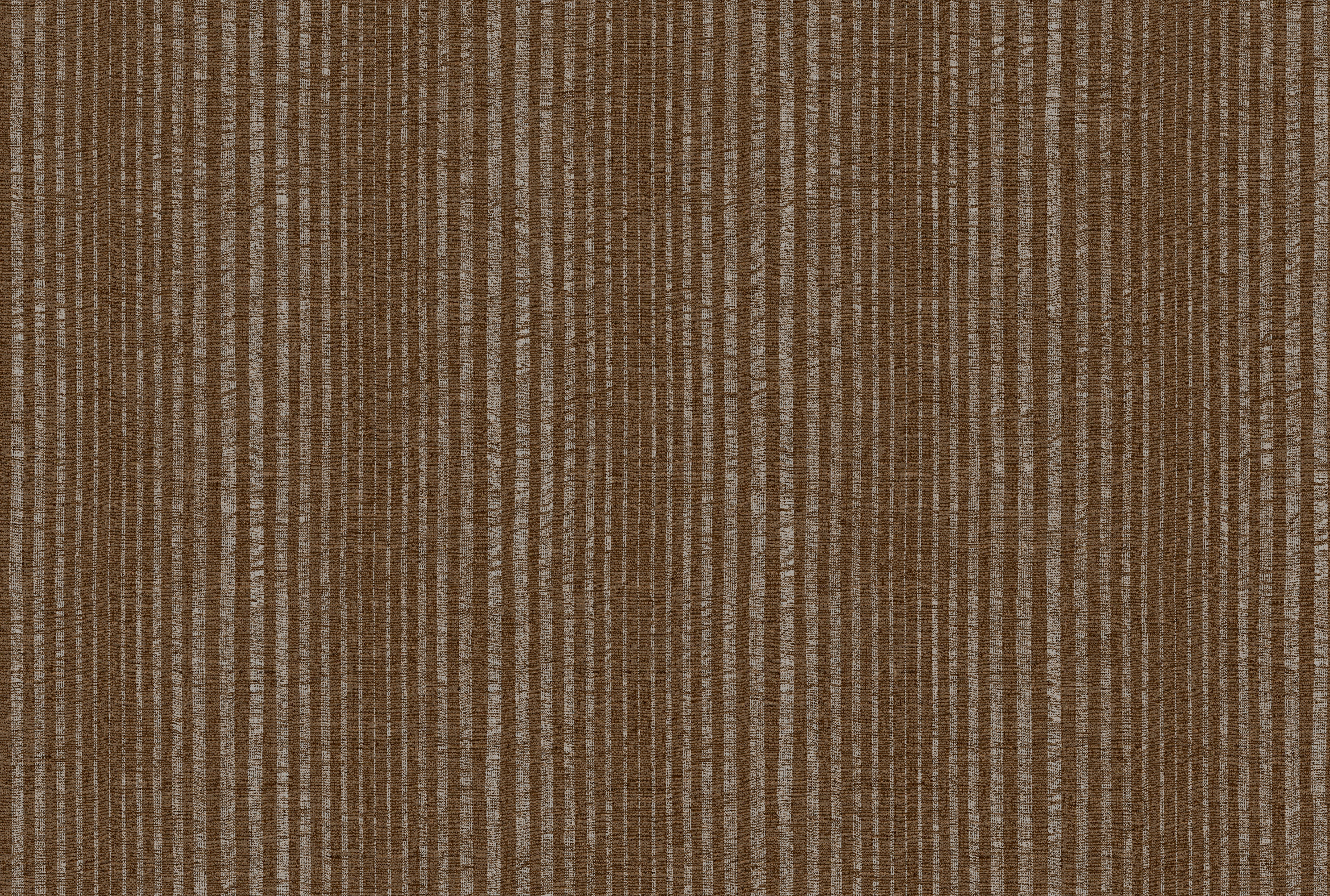 STRIPE image 5