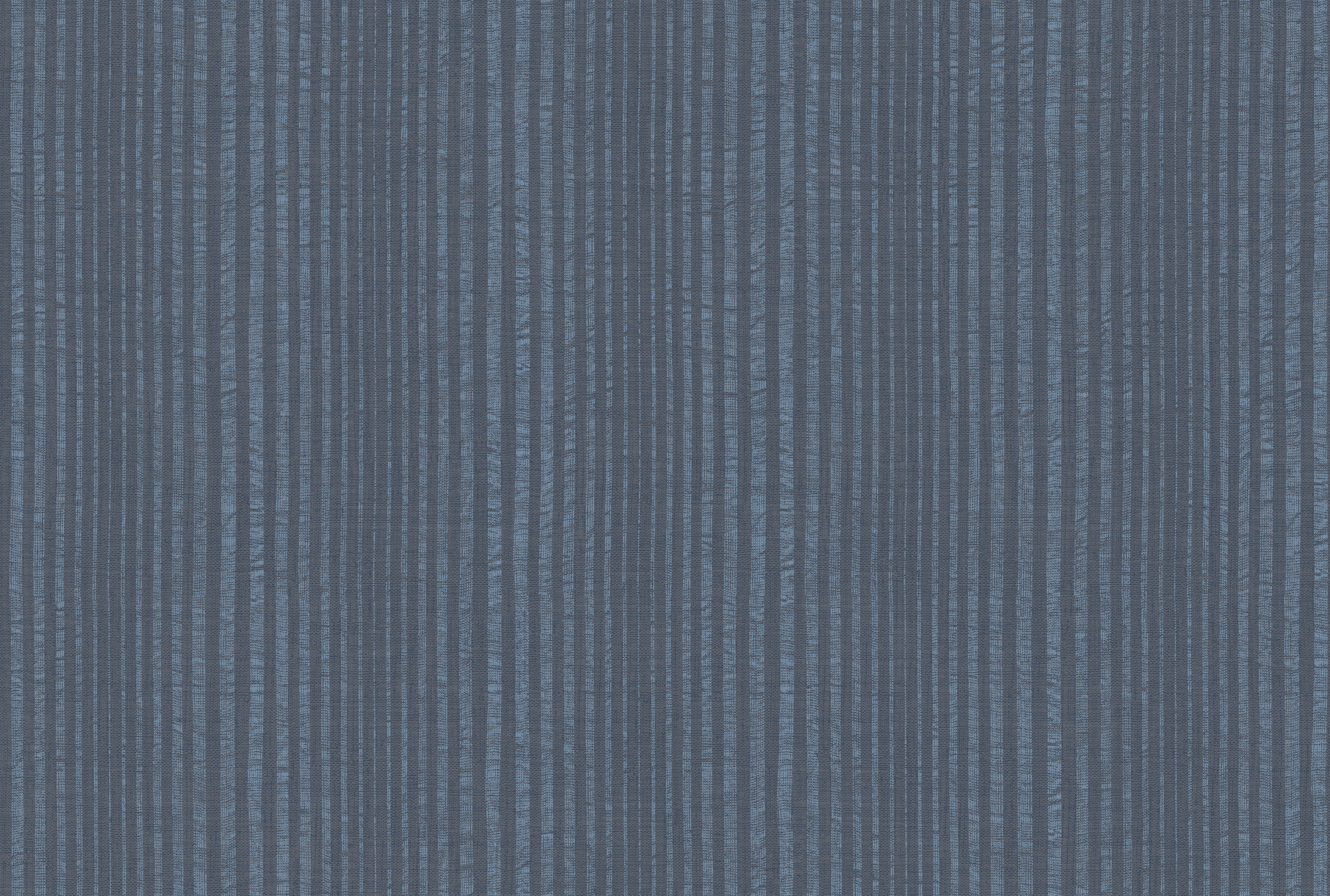STRIPE image 6