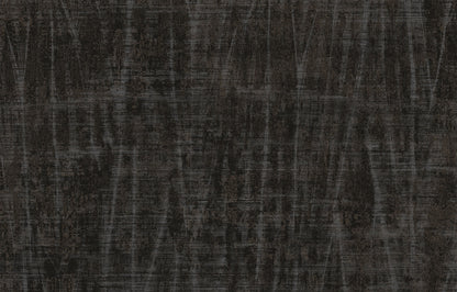 SPIGA image 7