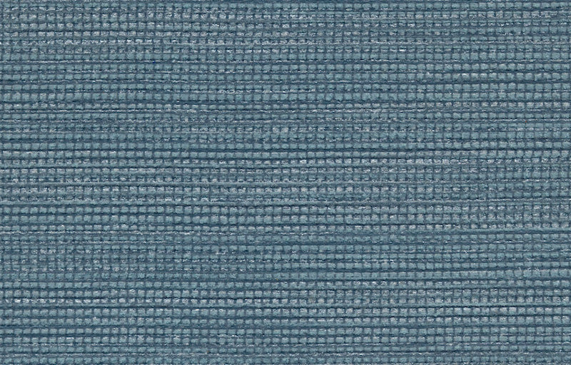 AGAVE image 2