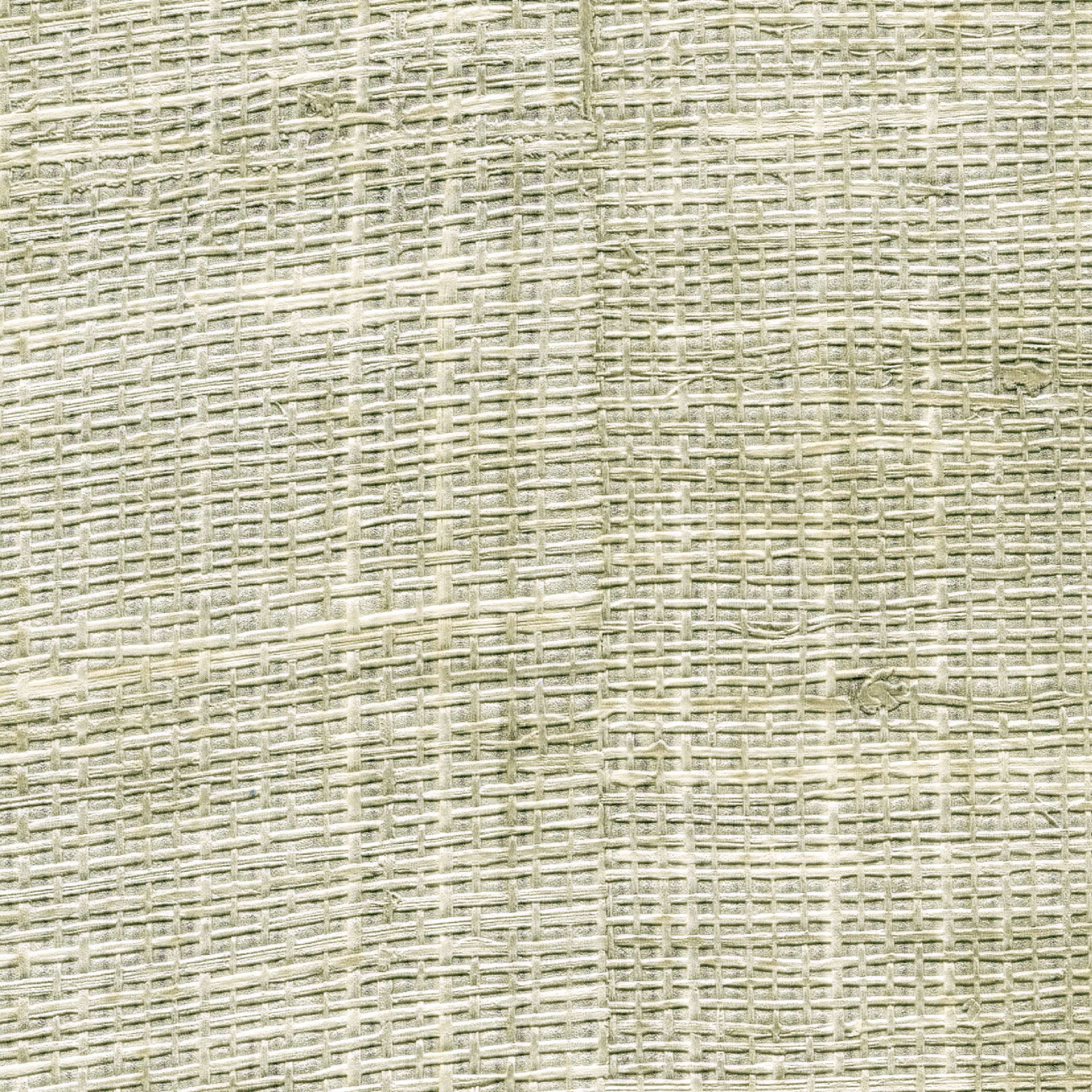 Raffia & Madagascar VP601-10 image 0