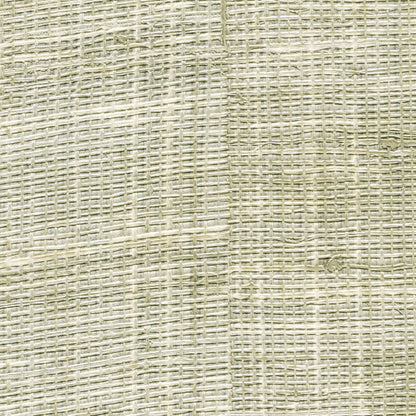 Raffia & Madagascar VP601-10 image 0