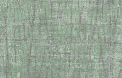 SPIGA image 9