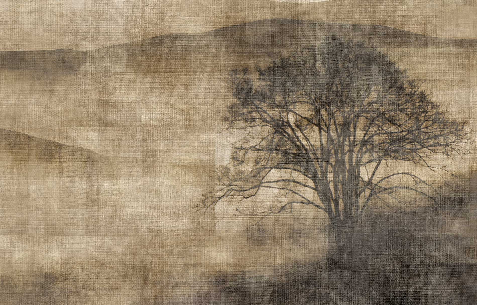 MIST image 4