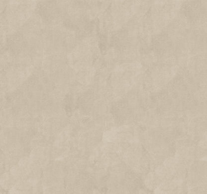SOLID image 5