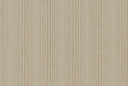 STRIPE image 3