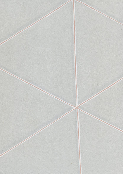 DOUBLE-SLIT image 5