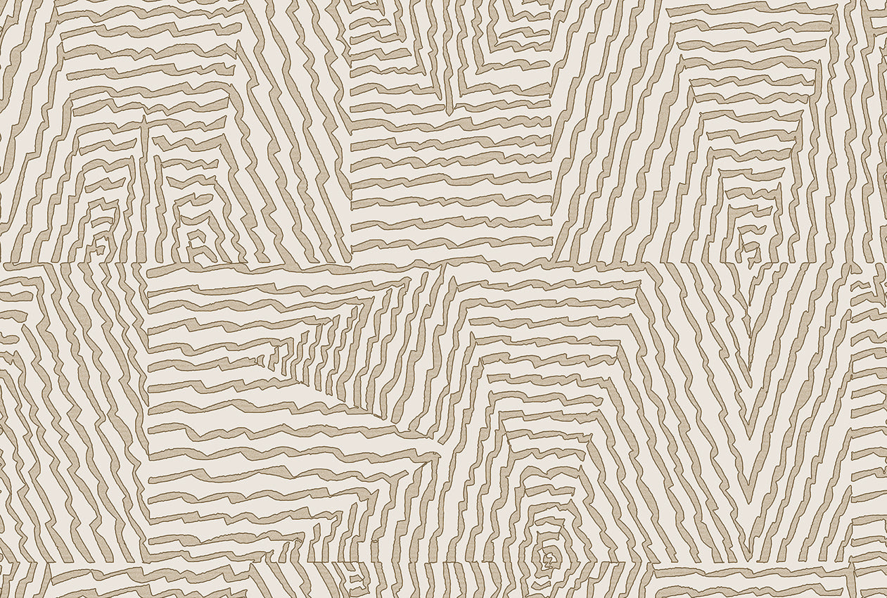Escher image 3